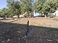 Fotogaléria