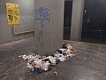 Fotogaléria
