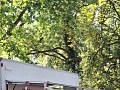 Fotogaléria