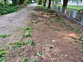 Fotogaléria