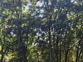 Fotogaléria