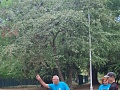 Fotogaléria