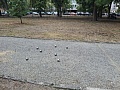 Fotogaléria