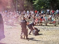 Fotogaléria