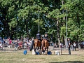 Fotogaléria