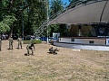 Fotogaléria