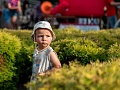 Fotogaléria