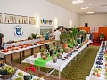 Fotogaléria