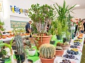 Fotogaléria
