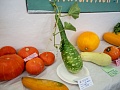 Fotogaléria