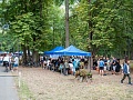 Fotogaléria