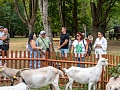 Fotogaléria