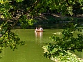 Fotogaléria
