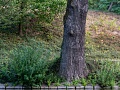 Fotogaléria
