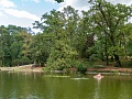 Fotogaléria