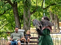 Fotogaléria