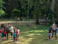Fotogaléria