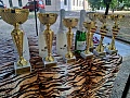 Fotogaléria