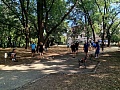 Fotogaléria
