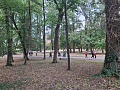Fotogaléria