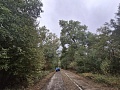 Fotogaléria