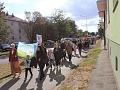 Fotogaléria
