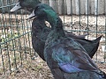 Fotogaléria