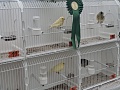 Fotogaléria