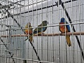 Fotogaléria