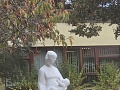 Fotogaléria