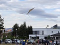 Fotogaléria
