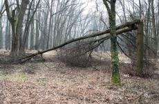 Fotogaléria