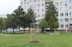 Fotogaléria