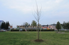 Fotogaléria