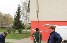 Fotogaléria