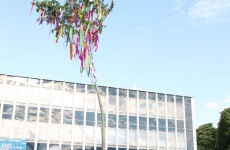 Fotogaléria
