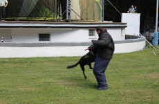Fotogaléria
