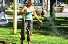 Fotogaléria