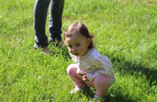 Fotogaléria