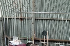 Fotogaléria
