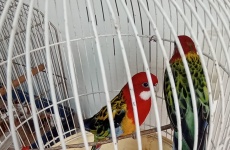 Fotogaléria