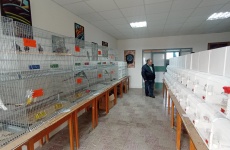 Fotogaléria