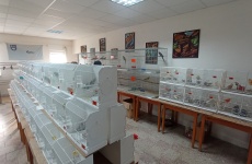 Fotogaléria