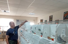 Fotogaléria
