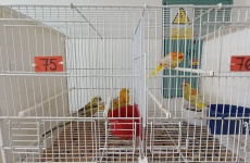 Fotogaléria