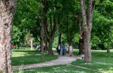 Fotogaléria