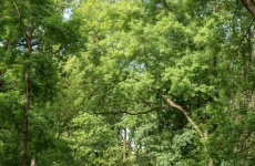 Fotogaléria