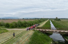 Fotogaléria