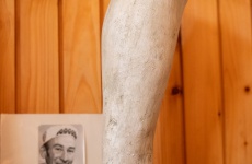Fotogaléria