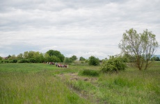 Fotogaléria